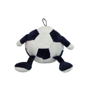 Pelota blanco y negro